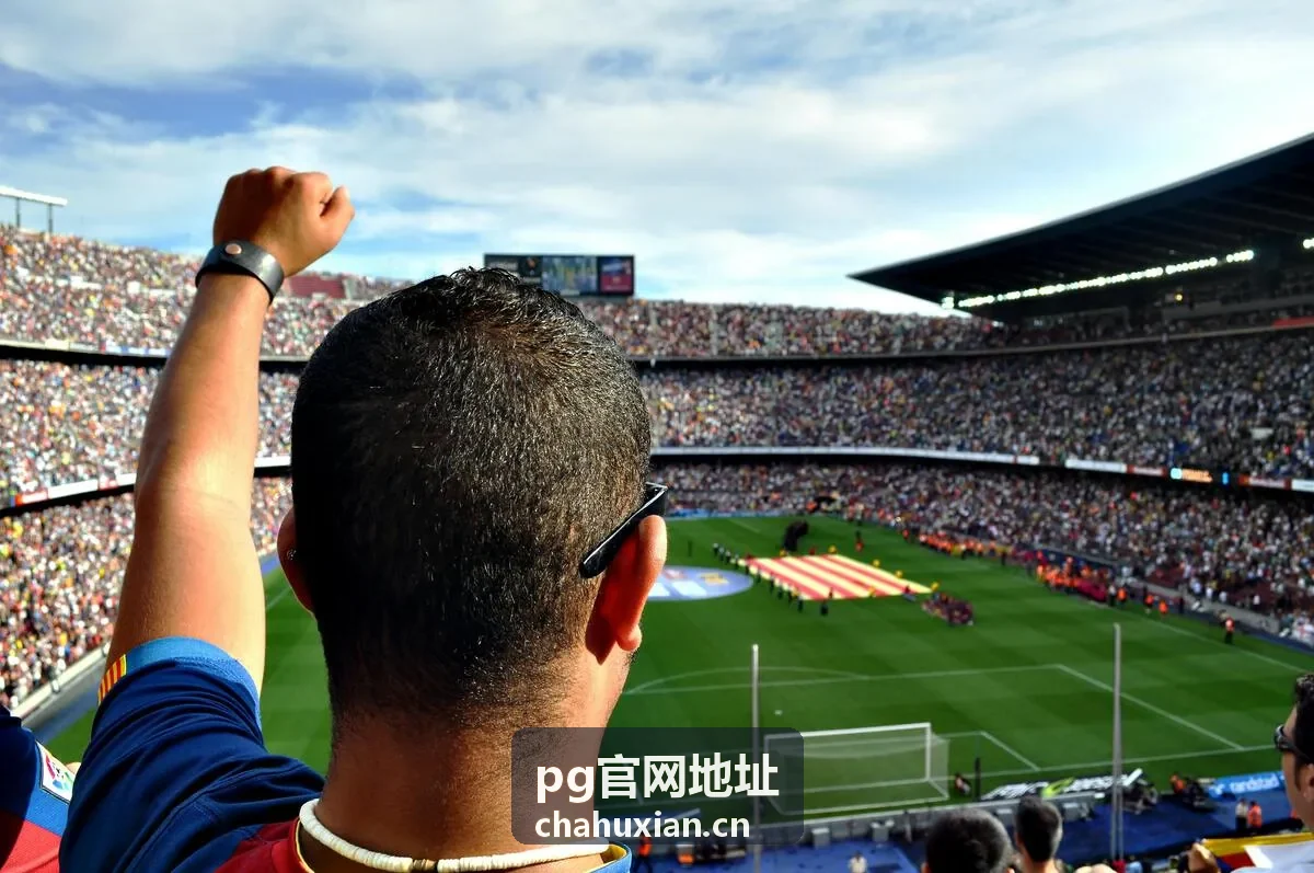 PG官网地址 浏览器缓存清理步骤封面
