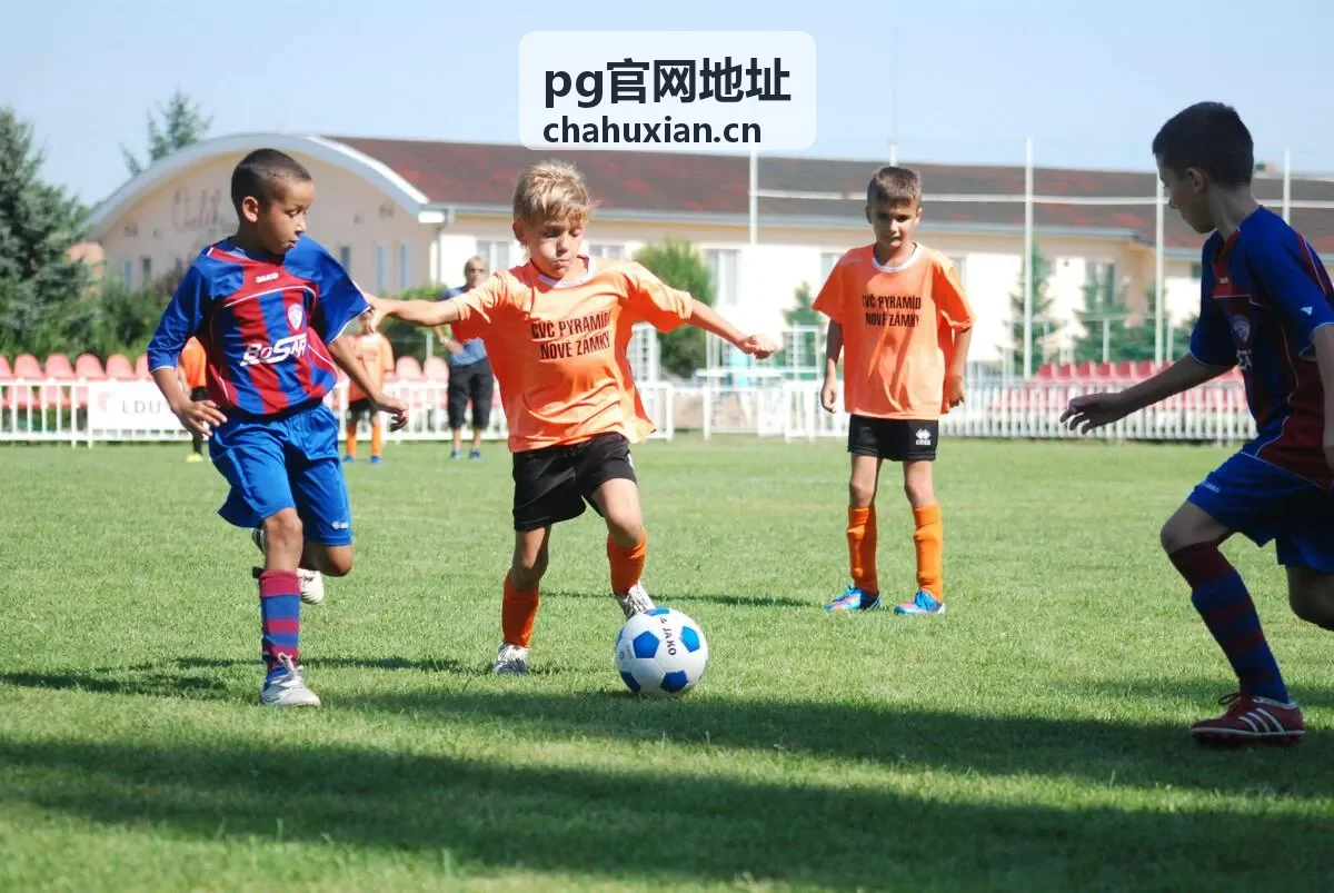 PG官网地址 维护时段说明封面